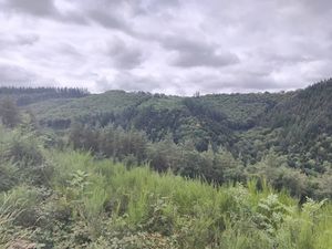 Vente terrain 225742 m² à Lacaze (81330)  89 000 €