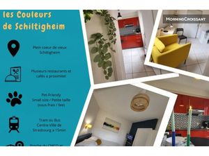 Location meublée appartement 1 pièce 24 m² à Schiltigheim (67300)  1 200 €