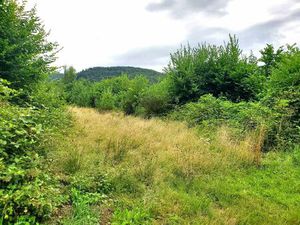 Annonce vente terrain 1 pièce de 890m2 à Colroy la roche (67420) - ParuVendu.fr ref 992781