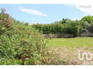 Terrain 1119 m² Villeneuve-lès-Béziers