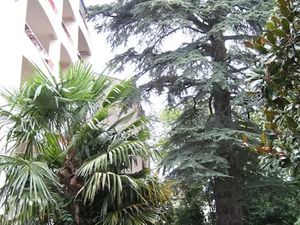 Location meublée appartement 1 pièce 20 m² à Pau (64000)  430 €