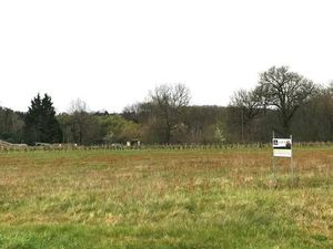 Terrain constructible viabilisé à vendre