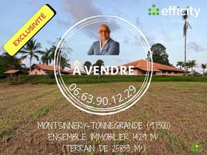 Vente immeuble 1429.14 m² à Montsinery Tonnegrande (97356)  843 000 €