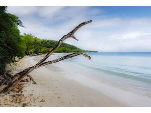 Vente terrain 295498 m² à Capesterre de marie galante (97140)  6 500 000 €