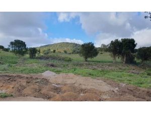 Vente terrain 1000 m² à Ajaccio (20000)  355 000 €