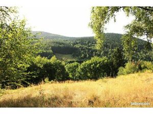 Terrain 2 080 m² Bussang