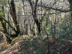 Terrain 6 393 m² Saint Etienne Vallee Francaise