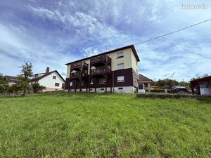 Immeuble 390 m² Lembach