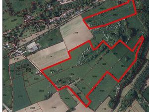 Terrains agricoles libres d'occupation Virellles SOUS OPTION