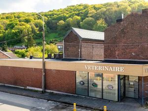 Bien professionnel à vendre à Wandre € 279.000 (LCYV6) - Waucomont Immo | Zimmo