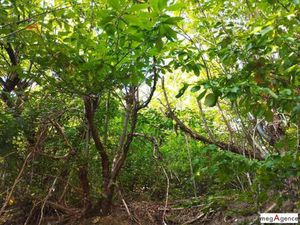 Propriété de loisirs à vendre