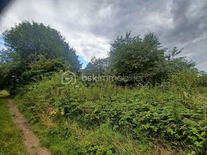Parcelle de bois au calme