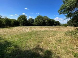 Vente terrain 3599 m² à Le Vigeant (86150)  4 000 €