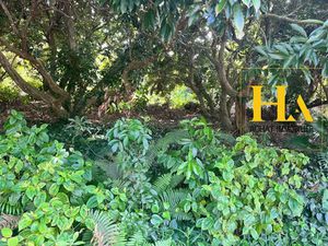 Vente terrain 680 m² à Saint joseph (97480)  138 000 €