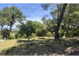 Annonce terrain à vendre