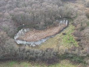 Vente terrain 23257 m² à Lys-Saint-Georges (36230)  5 633 €