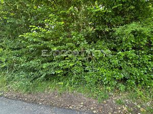 Vente terrain 6964 m² Clères (76690)