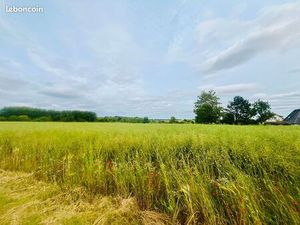 Terrain 1300 m² CAIRON