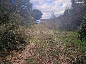 Terrain 2 580 m² La Capelle Et Masmolene