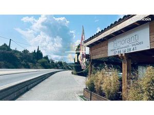 Commerce restaurant  pizzeria Les Mages