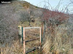 Verger bio sur les hauteurs de Castellane (04120)