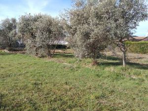 Terrain constructible viabilisé à vendre