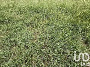 Vente terrain 487 m² à Sanguinet (40460)  173 000 €