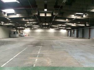 Sophie-Caroline Wedrychowski