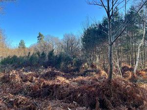 SQUARE HABITAT ORLEANS BANNIER