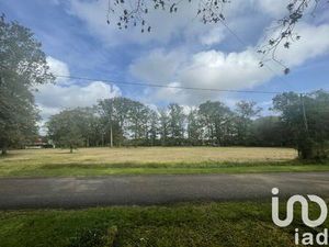 Terrain constructible viabilisé à vendre