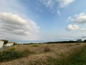 Vente terrain à batir 5393 m² à Mazeray (17400)  71 000 €