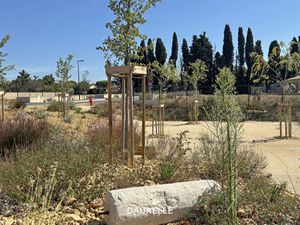 Achat Terrain 535m² MAILLANE 13910