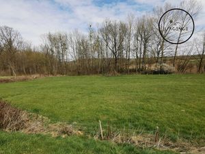 Achat Terrain 6 259m² BENAMENIL 54450
