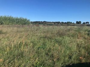 Vente terrain 265 m² à Saint-Mathieu-de-Tréviers (34270)  150 000 €