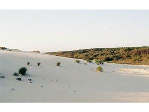 Maison Saint-Julien-en-Born m² T-6 à vendre  1 065 700 €