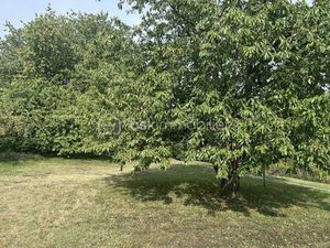 SEVERINE CUNIN BSK IMMOBILIER