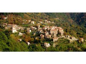 L'âme de la Corse à Rosazia . Idéal Maison famille ou création Gîte  Chambres d'hôtes.