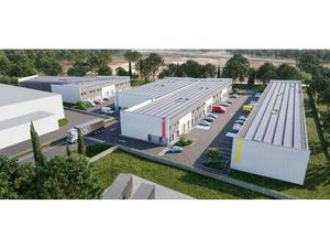 Sophie-Caroline Wedrychowski