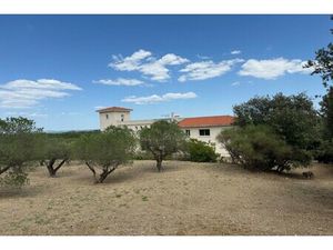 Maison de luxe à vendre à Murviel-lès-Montpellier