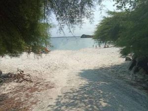 SAFTI DESPRETZ Aurore conseiller indépendant