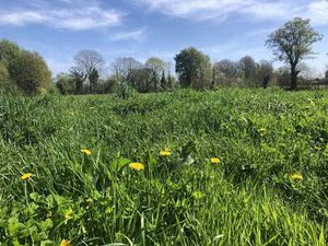 Terrain constructible viabilisé à vendre