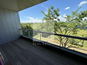 Location Local Professionnel 1 006m² PUSIGNAN 69330