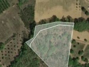 Vente terrain 6230 m² Fourques (66300)