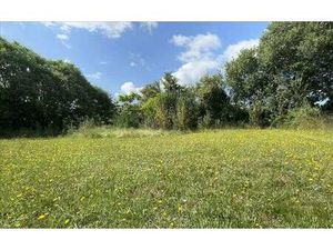 Terrain à vendre - neuf