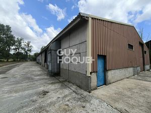 Hangar et terrain à vendre à Amou - Référence 30282