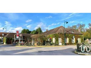 Maison 13 pièces 487 m²