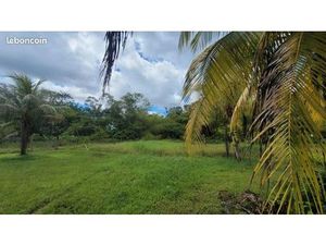 Terrain 3 900 m² Saint Laurent Du Maroni