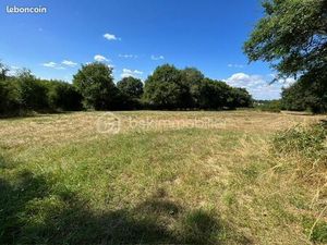 Terrain 3 599 m² Le Vigeant