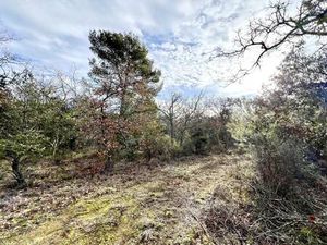 VERONIQUE COSTAZ IMMOBILIER