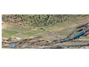 Annonce vente terrain terrain de 367m2 à Ferrals-les-corbières (11200) - ParuVendu.fr ref 